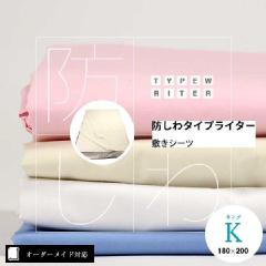 yI[_[ChΉzh^CvC^[~V[cLOTCYiKjE5cm傫遦19.l[